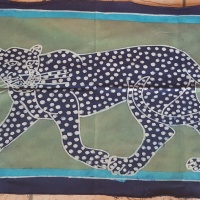 dmba_010